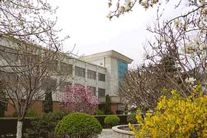 c(din)鿴Ԕ(x)Ϣ(bio)}SݏSò xΔ(sh)3390